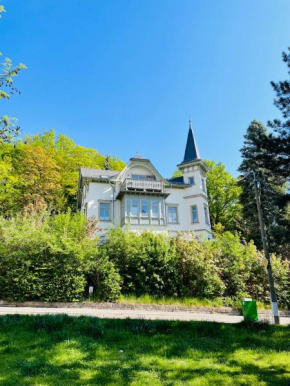 Ferienwohnung Villa Grützner